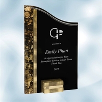 Black SunRay Gold acrylic award with aluminum block base and embedded... from...