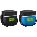 12 CAN DELUXE INSULATED COOLER