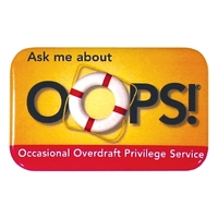 Oblong celluloid button, 1 3/4" x 2 3/4".... from ASI 93520 Ventura Inc