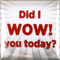 Button with a standard safety pin back.... from ASI 59080 Halls & Company