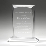 Award-Prestige 8 3/4"