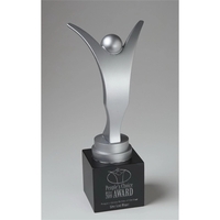 Medium Zenith Award