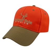 Blaze Contrasting Visor Cap... from ASI 43792 Cap America Inc / Cap America (TM)