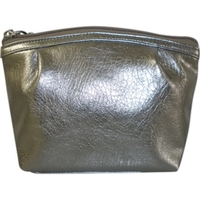 Metallic Pouch.... from ASI 57705 Goodview Industries Co Inc / Goodview...