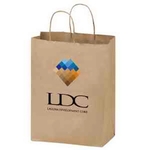 Natural Kraft 2-Bottle Wine Tote in CMYK - Color Evolution