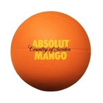 Basketball 2.5 EXP-Micro- White Top