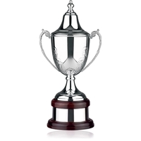 Supreme Cotswold Trophy Award