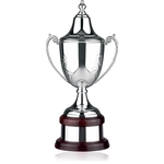 Supreme Cotswold Trophy Award