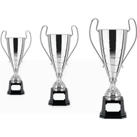 Euro Trophy Cup Award