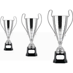 Euro Trophy Cup Award