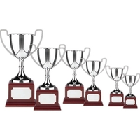 Nickel Plated Award Cup