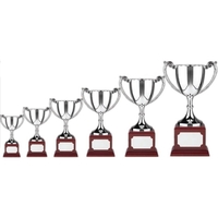 Nickel plated trophy cup mounted on heavyweight base. Ideal for engraving.......