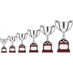 Nickel Plated Award Cup