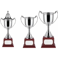 Revolution 5 Series Trophy Award