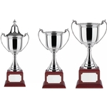 Revolution 5 Series Trophy Award