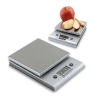 Stainless steel portable digital scale