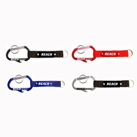 Carabiner with Bottle Opener and Metal Plate