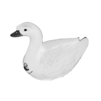 Long-necked and web-footed, swans... from ASI 74779 O & S Supply Company LLC