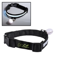 PVC and terylene pet color with a reflective panel and detachable... from ASI...