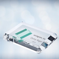 Color Imprinted Beveled Rectangle Paperweight