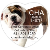 Vinyl Label Full Color - Large