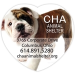 Vinyl Label Full Color - Large