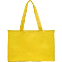 Non-woven insulated lightweight lunch tote.... from ASI 31977 Adline...