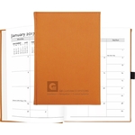 Pedova BrightWave Planner