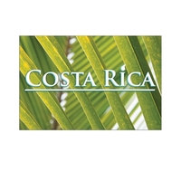 Postcard 4" x 6" Full Color