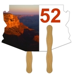Digital Econo Style Arizona State Auction Fan