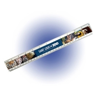 12" Beveled plastic ruler, full color digital.... from ASI 30270 Aakron Line
