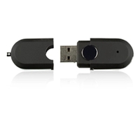 Racetrack Shaped USB Flash Drive