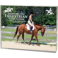 Clear acrylic magnetic certificate / insert holder.... from ASI 62660...