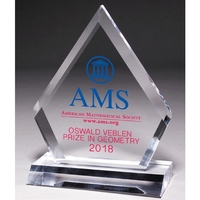 Multi-Faceted Acrylic Award