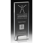 Acrylic Award with Chrome Metal Base
