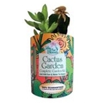 Cactus Garden in Eco-Friendly Grocan