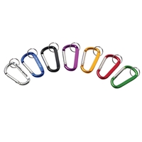 Carabiner w/Split Ring