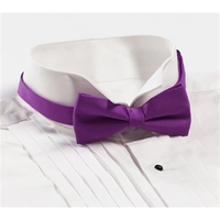 Violet Banded Bow Tie