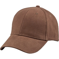6 Panel Structured Low Crown Cap