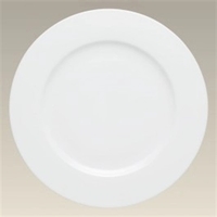 Fine Porcelain Dinnerware Rim PLATES