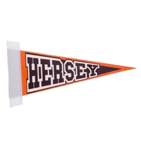 5" x 12" Colored Felt Pennant