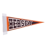 5" x 12" Colored Felt Pennant