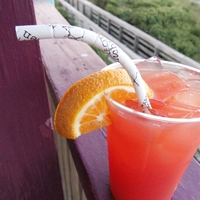 Custom Paper Straws - Jumbo Eco-Flex 10"