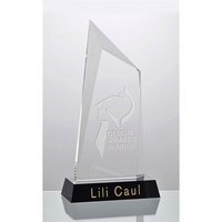 Crystal Summit Award