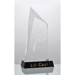 Crystal Summit Award