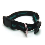 Silkscreen Printed Pet Collar