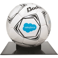 Basketball Display Grandstand