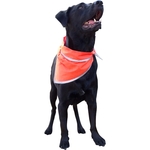 Pet Triangle Bandanna With Reflective Binding- Large