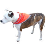 Pet Triangle Bandanna With Reflective Binding - Medium