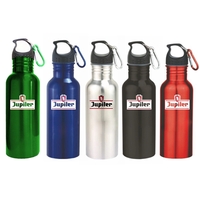 Single wall 22 oz. stainless steel water bottle with carabineer clip.... from...
